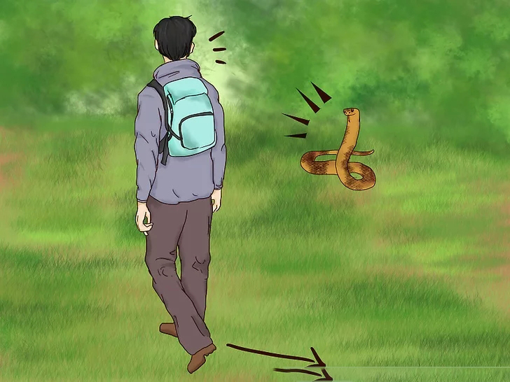 辟谣：台湾100米巨蟒缠绕货车，网友目击影片遭网络疯传