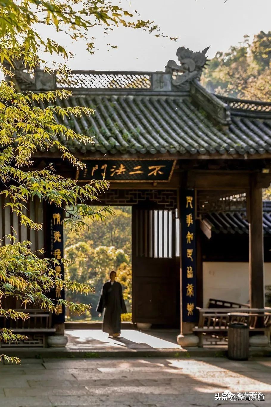 中国茶叶第一产茶大省,陕西中国茶叶第一大省