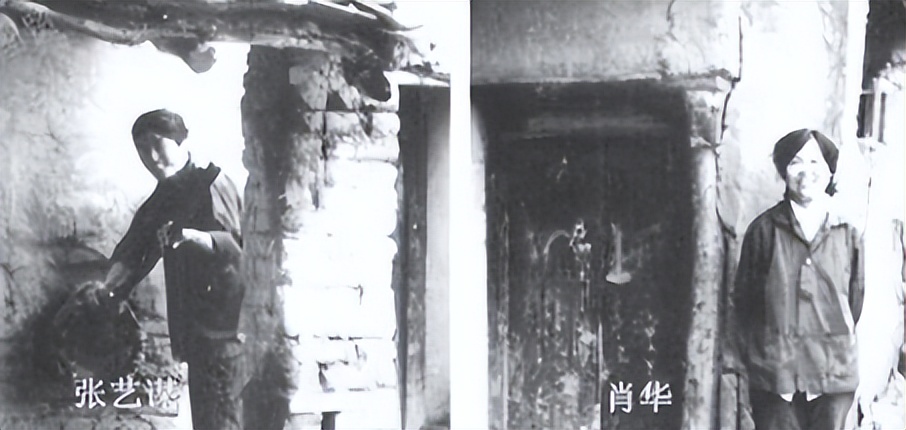 为什么那么多人捧张艺谋,张艺谋为什么这么红火