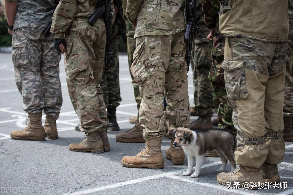 大专毕业当兵有几个去向,专科毕业在学校当兵好走吗