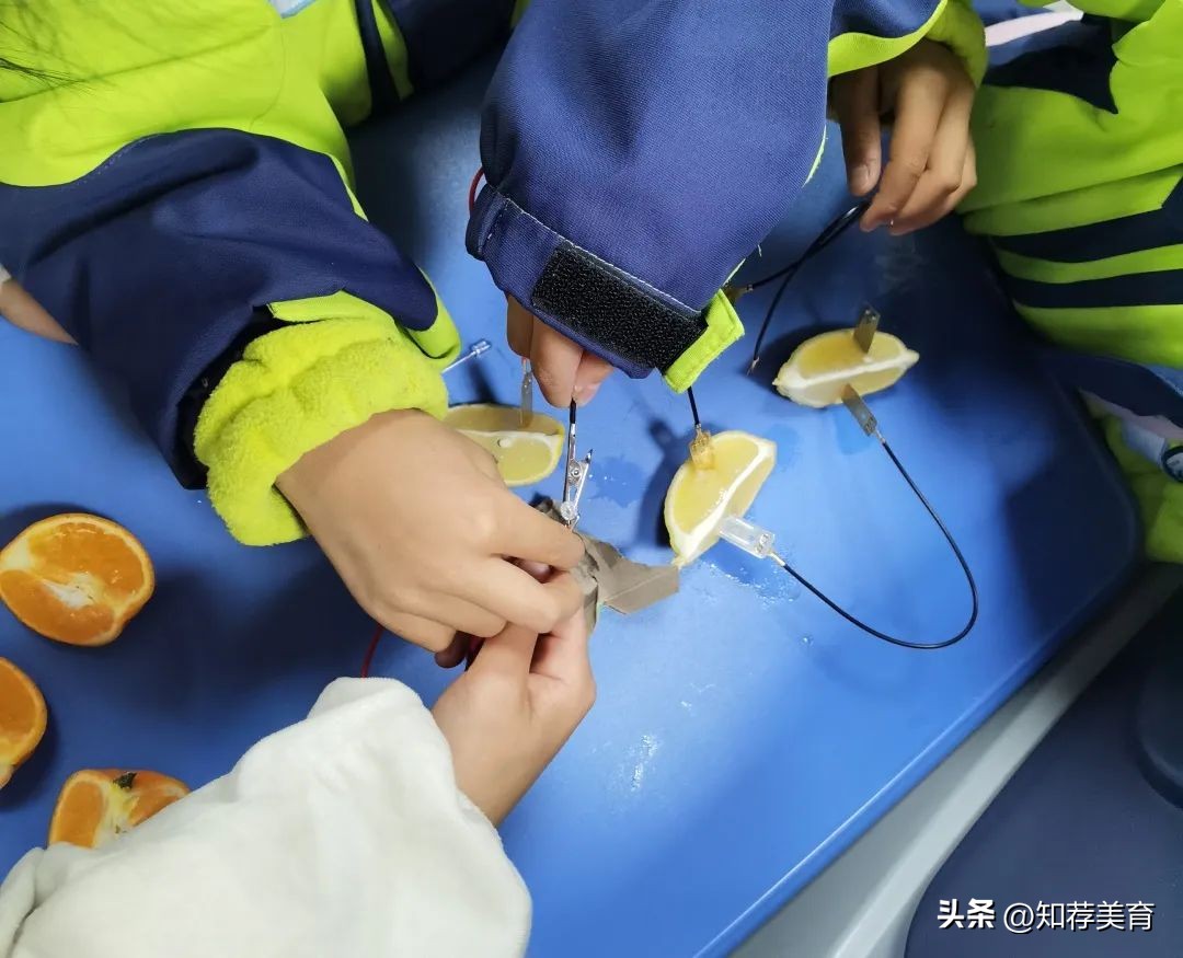 探寻桑蚕文化感受桑蚕之美,走进蚕桑研究所探寻蚕桑文化