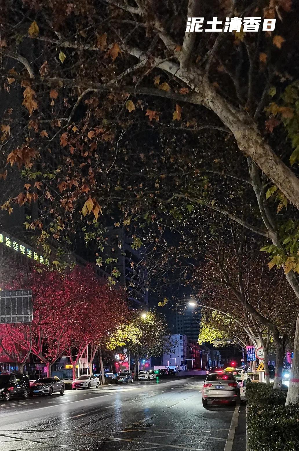 郑州风景优美的夜景,郑州初冬的风景