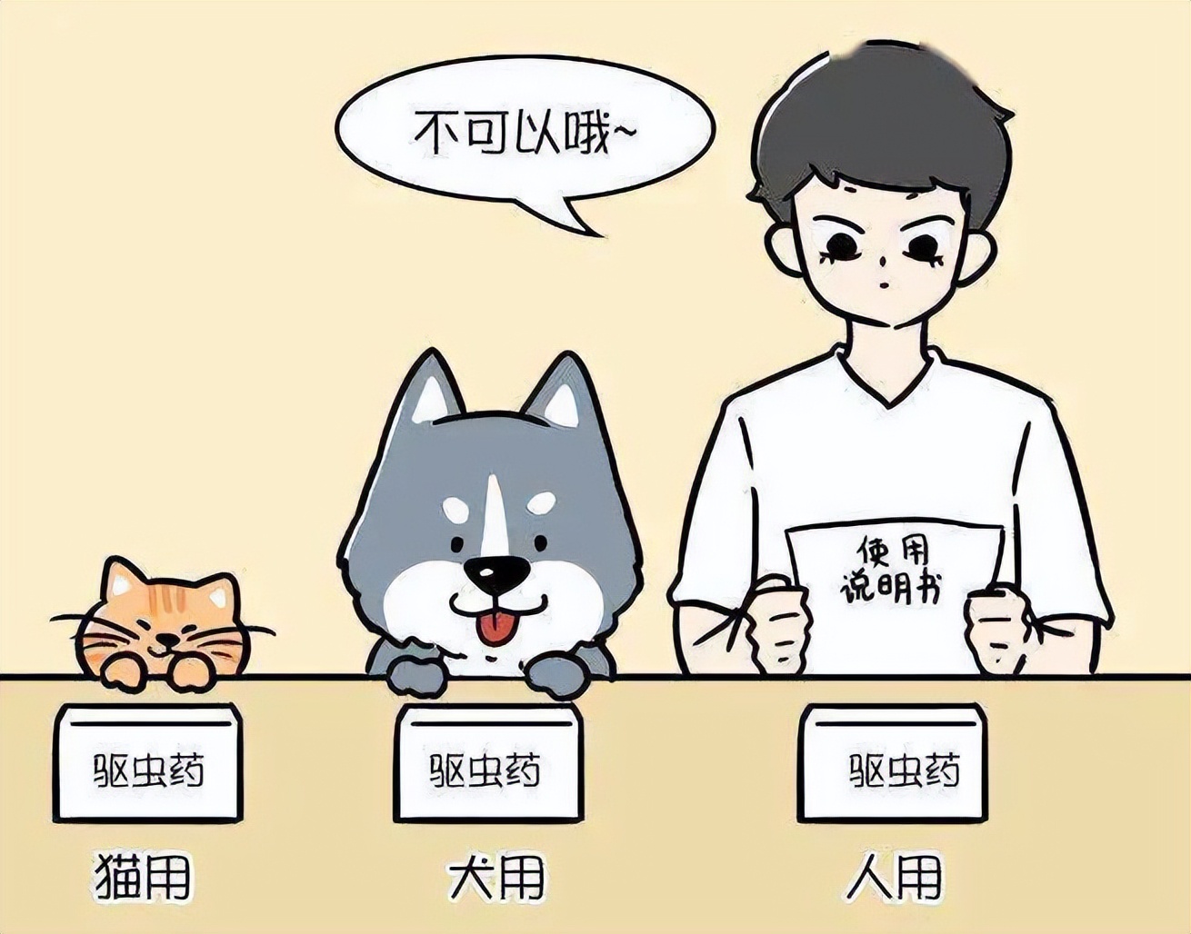 养比熊需要注意什么问题,养比熊要注意什么问题