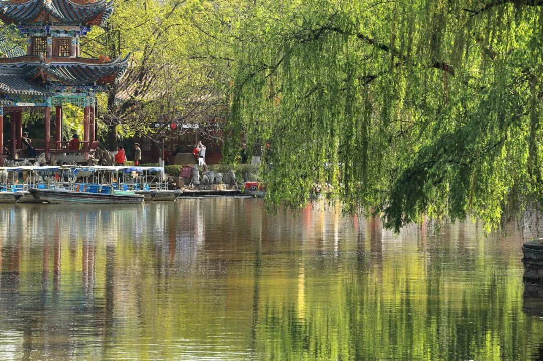 云南六日游保姆级攻略,昆明一日游住宿攻略推荐理由大全