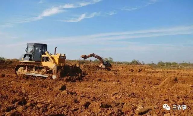 关于农村土地补贴政策,2021年七星关区农村土地补贴标准