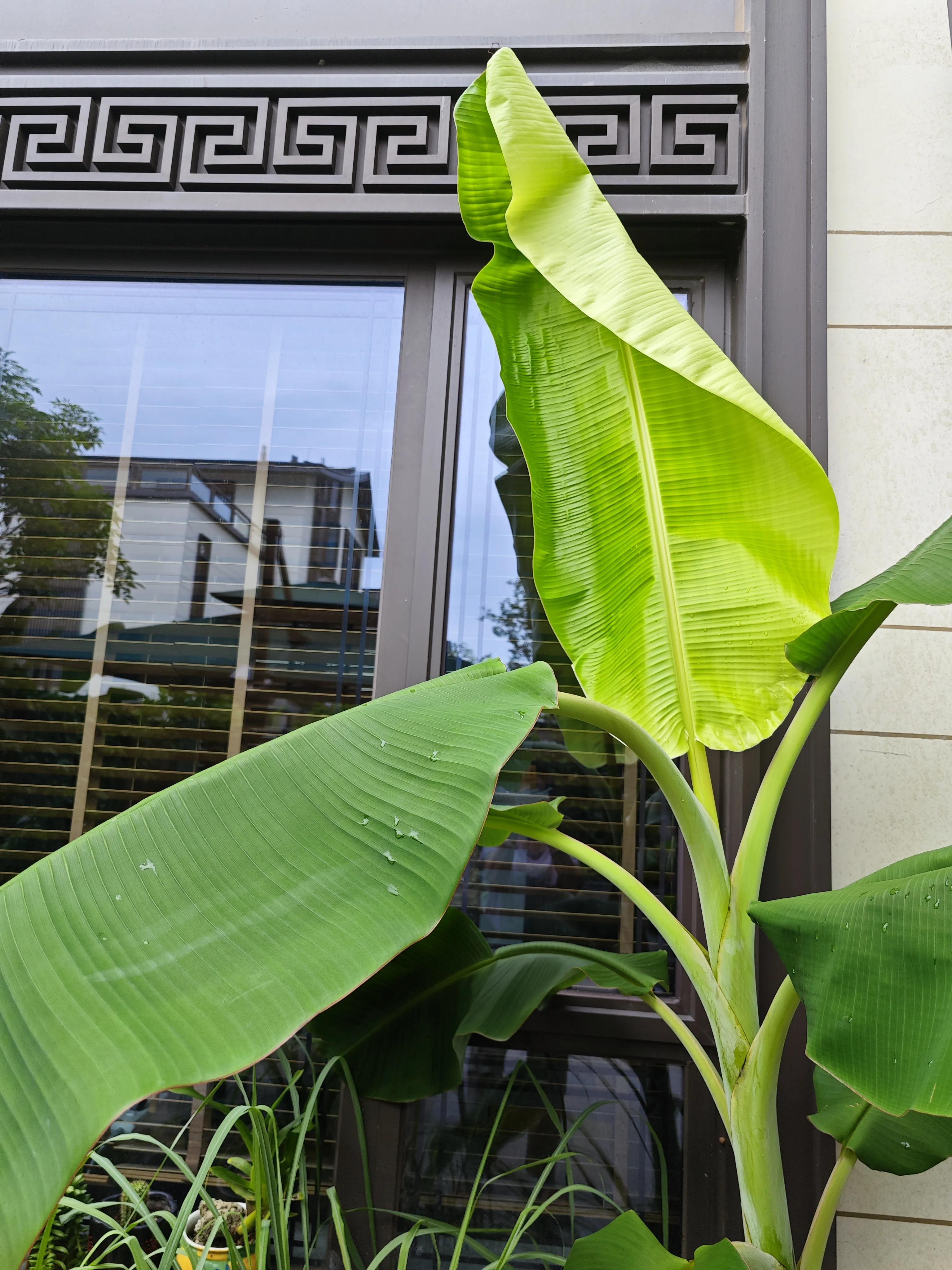 夏天的多巴胺是什么,夏天的多巴胺穿搭是什么