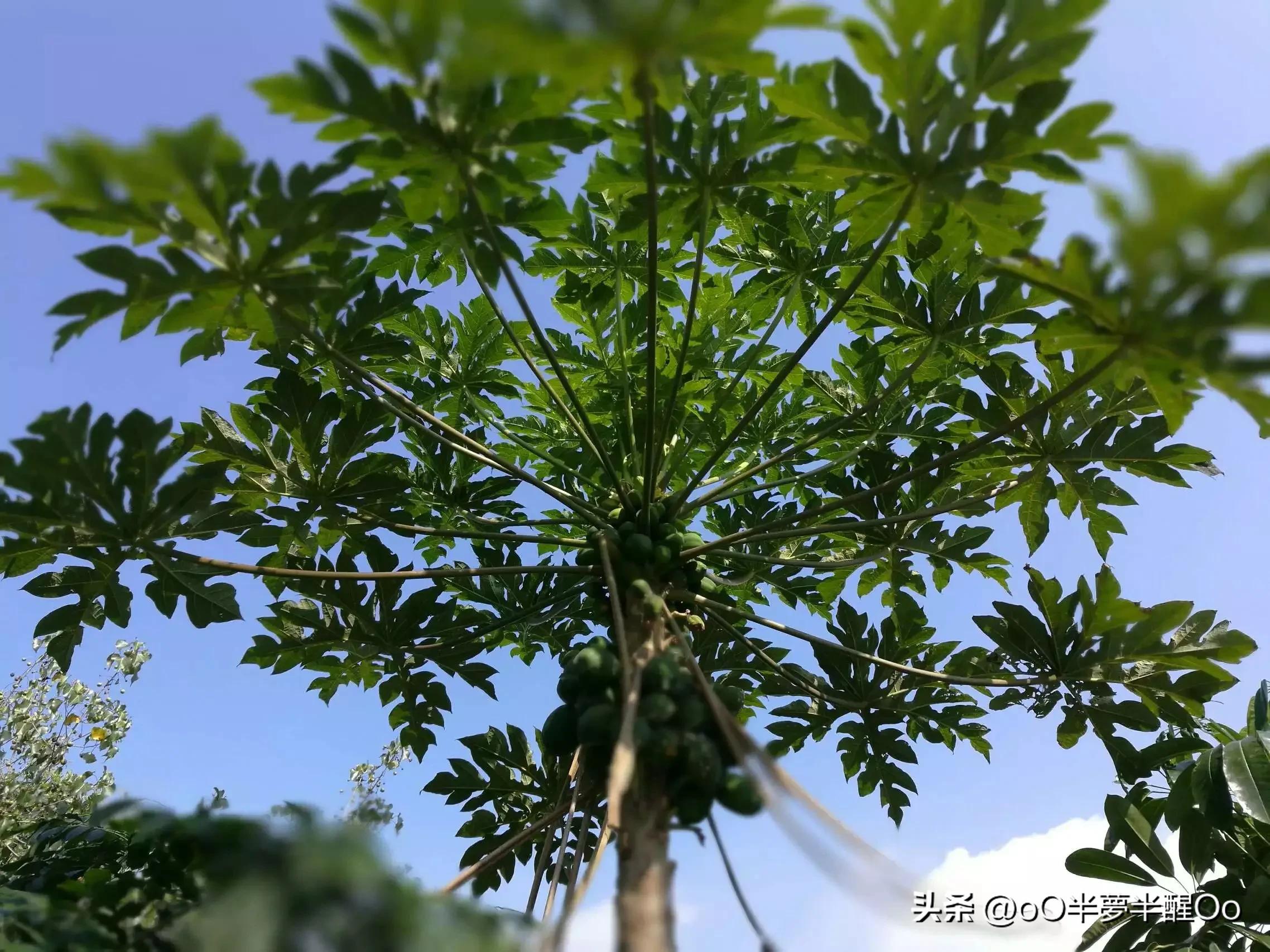 海口印象,海口印象酒店公寓