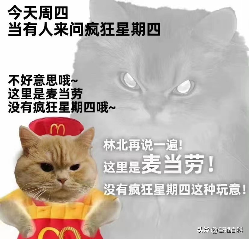 肯德基疯狂星期四值不值得去,肯德基疯狂星期四有多划算