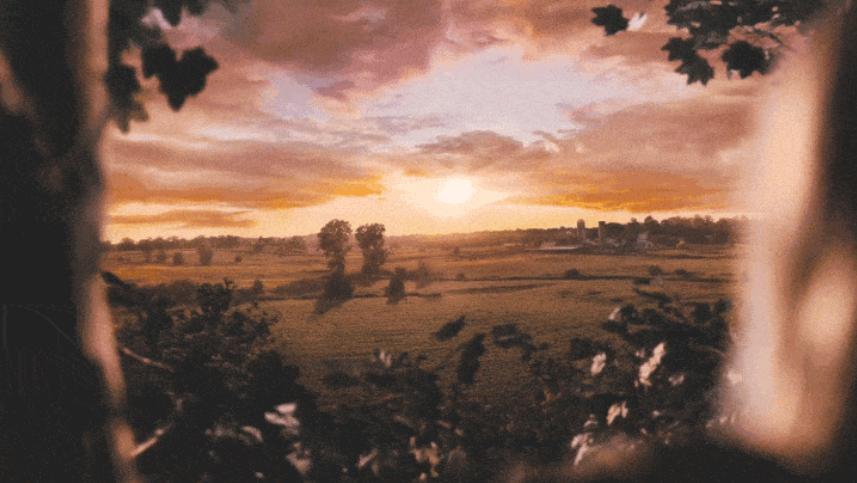 怦然心动家庭教育,怦然心动女孩对男孩说的话