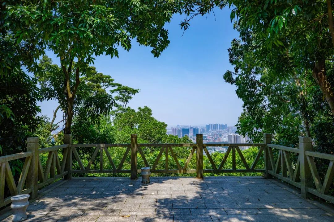 深圳凤凰山有条绿道叫什么,深圳凤凰山绿道旅游攻略