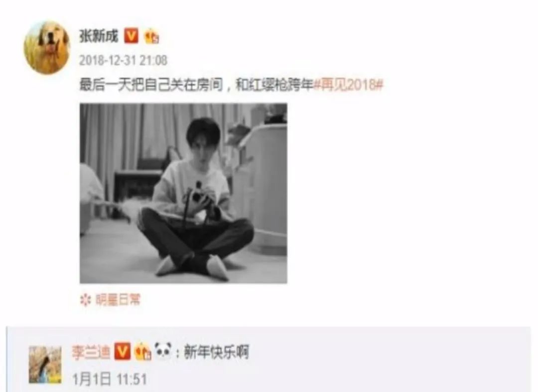 张新成李兰迪泰国正面照,李兰迪张新成泰国同游