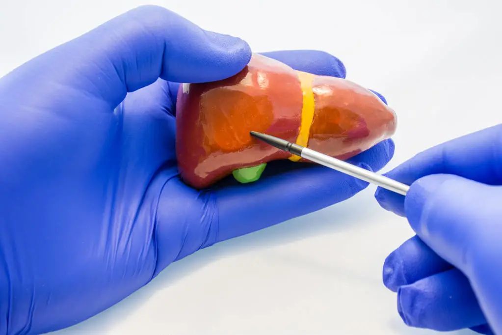 健康证体检肝功能异常复查做什么,肝功能异常的8种健康信号