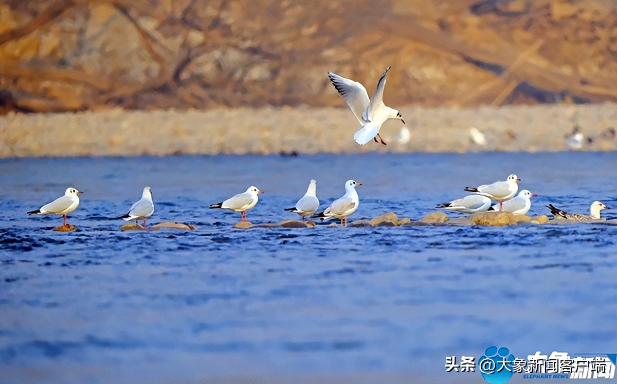 河南省黄河迎宾馆雪景,洛阳春来花似锦