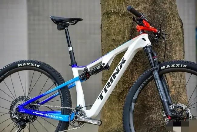 自行车赛车十大品牌,自行车十大品牌排行榜前十名图片