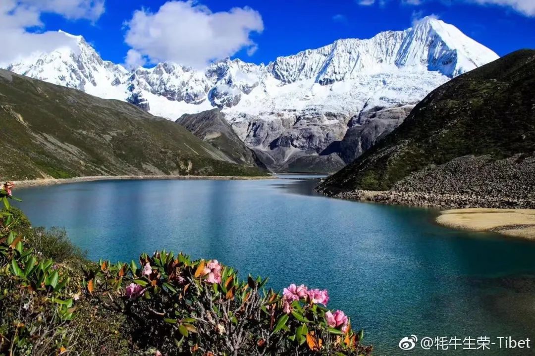 藏西风景,藏西美景视频大全