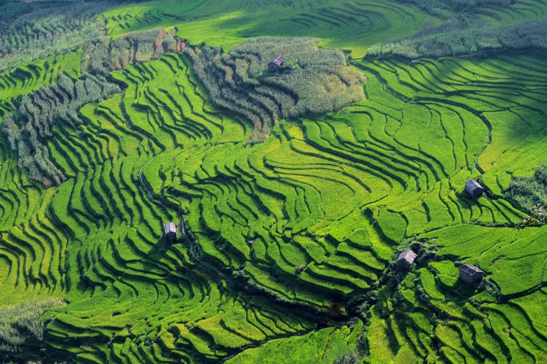 昆明七彩云南怎么样,七彩云南避暑家园