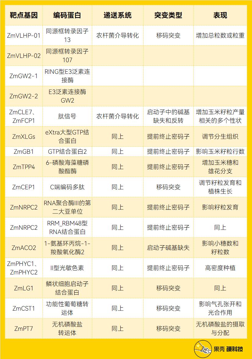 喂饱100亿人的技术，中国准备好了吗？