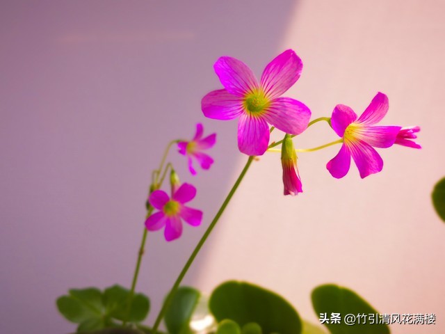 智联招聘、BOSS充斥着太多的不靠谱单位，齐鲁人才网相对靠谱一些