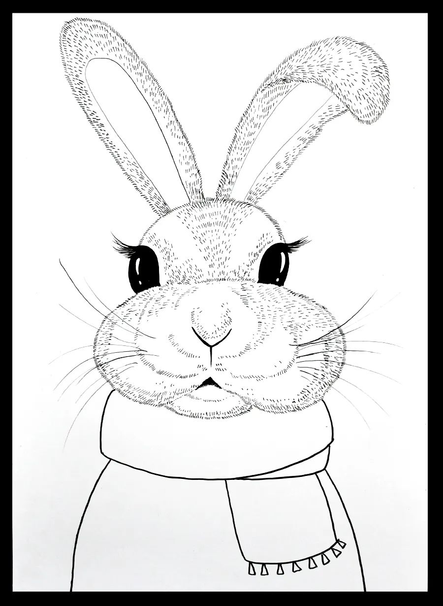 儿童画卡通小动物的步骤,儿童画创意兔子教案