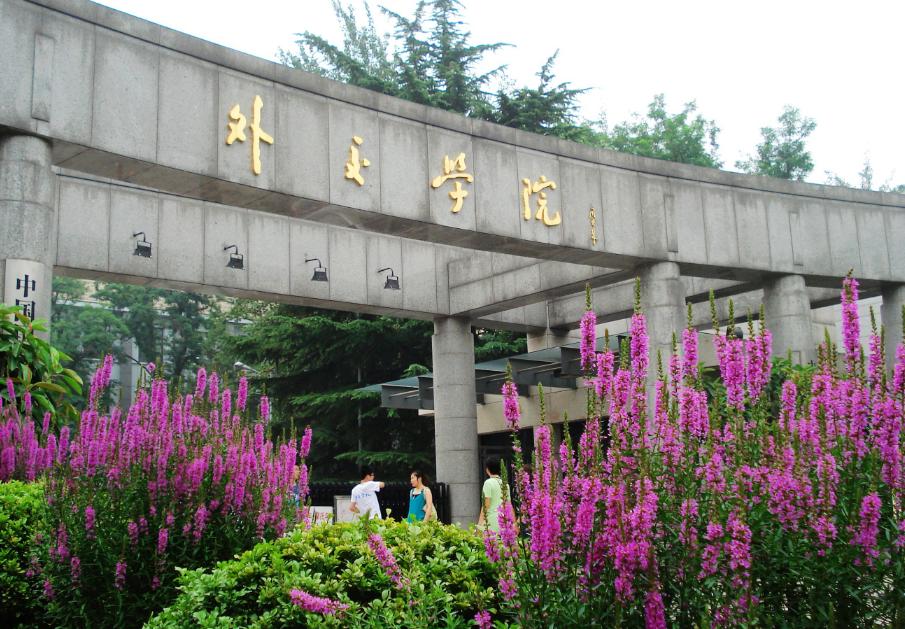 外交部女神翻译,外交部翻译女神实战