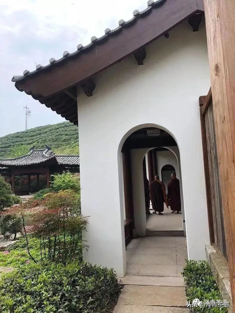 十大名茶是指哪十大,中国十大名茶最新排行建议收藏