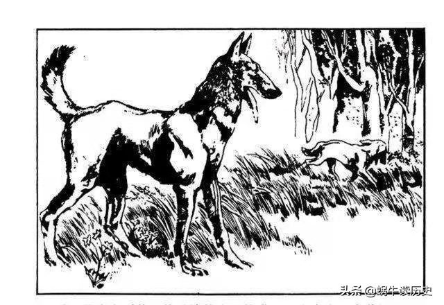 民间故事猎人山中追巨兔,民间故事穷小子上山砍柴遇见老虎