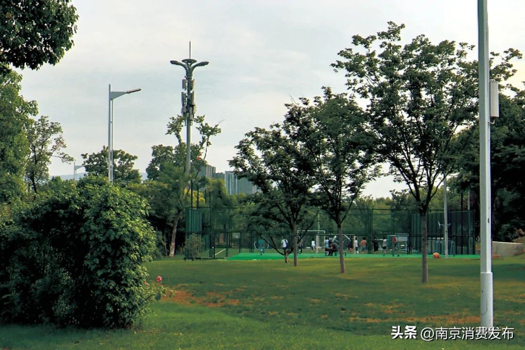 南京citywalk指南,南京12月份citywalk