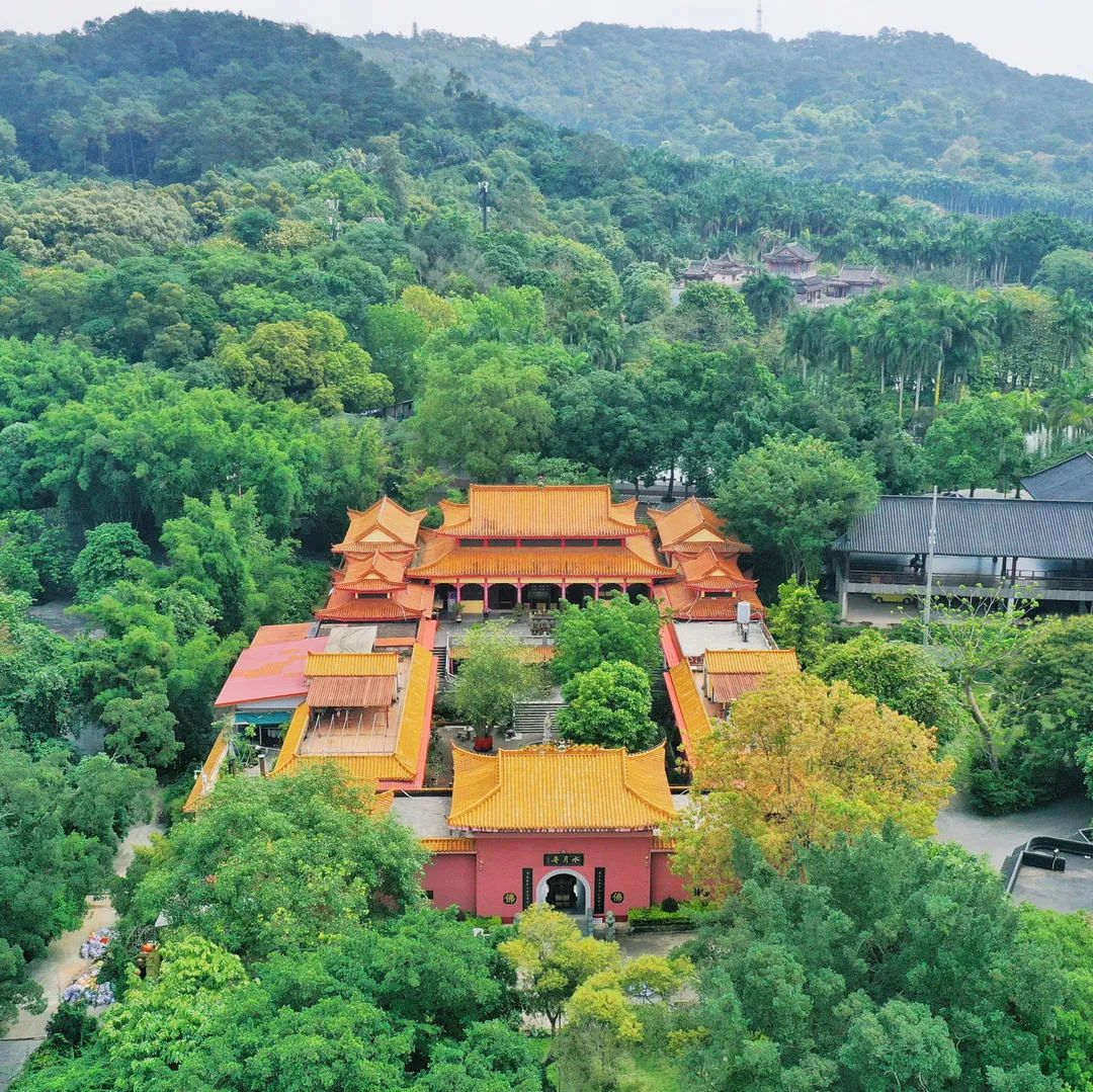 地理冷知识广西,广西南宁冷知识