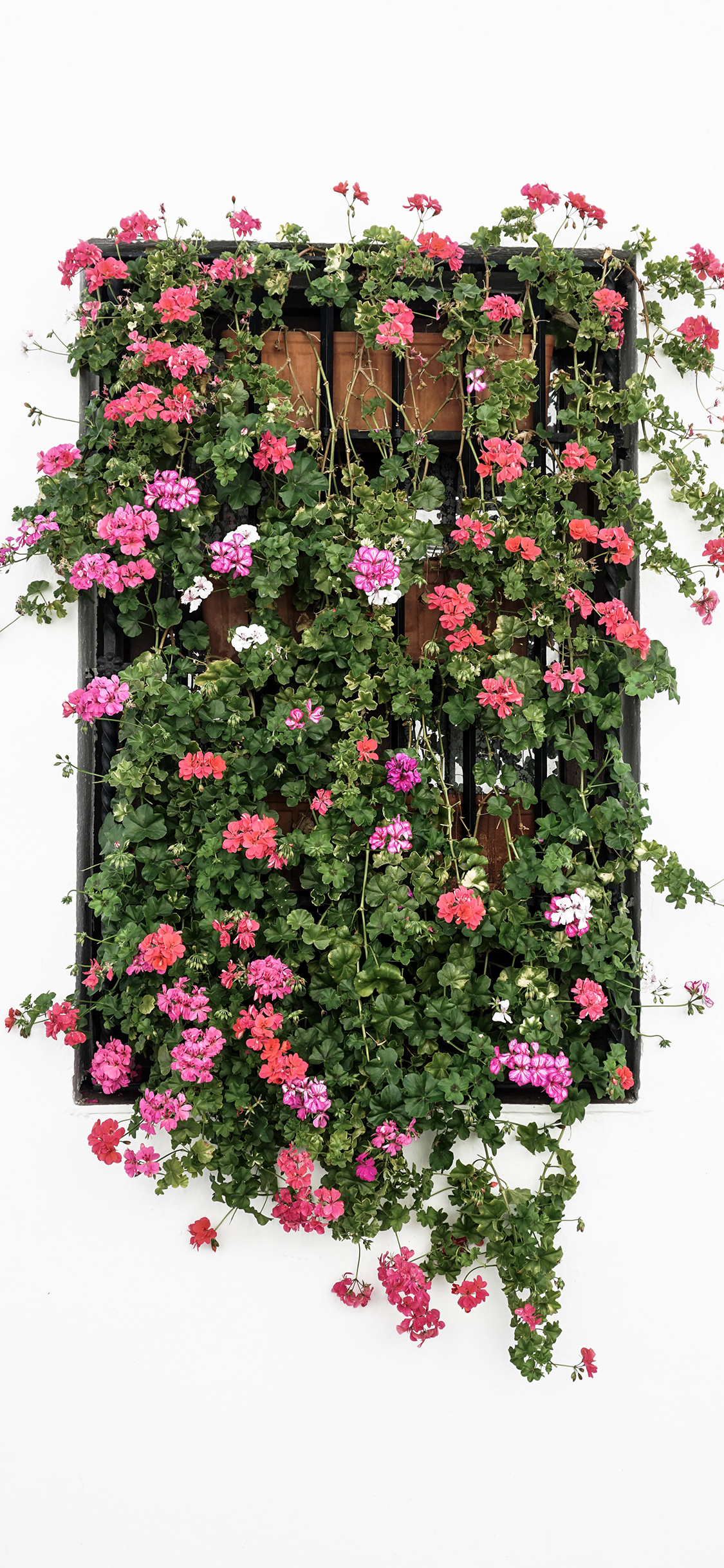 2023年手机壁纸,2023年最新款超清手机壁纸