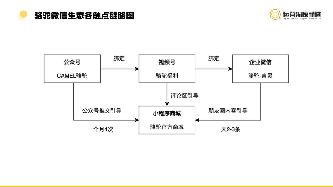 抢占细分赛道！视频号渠道中的小众品类，如何找到弯道超车机会？