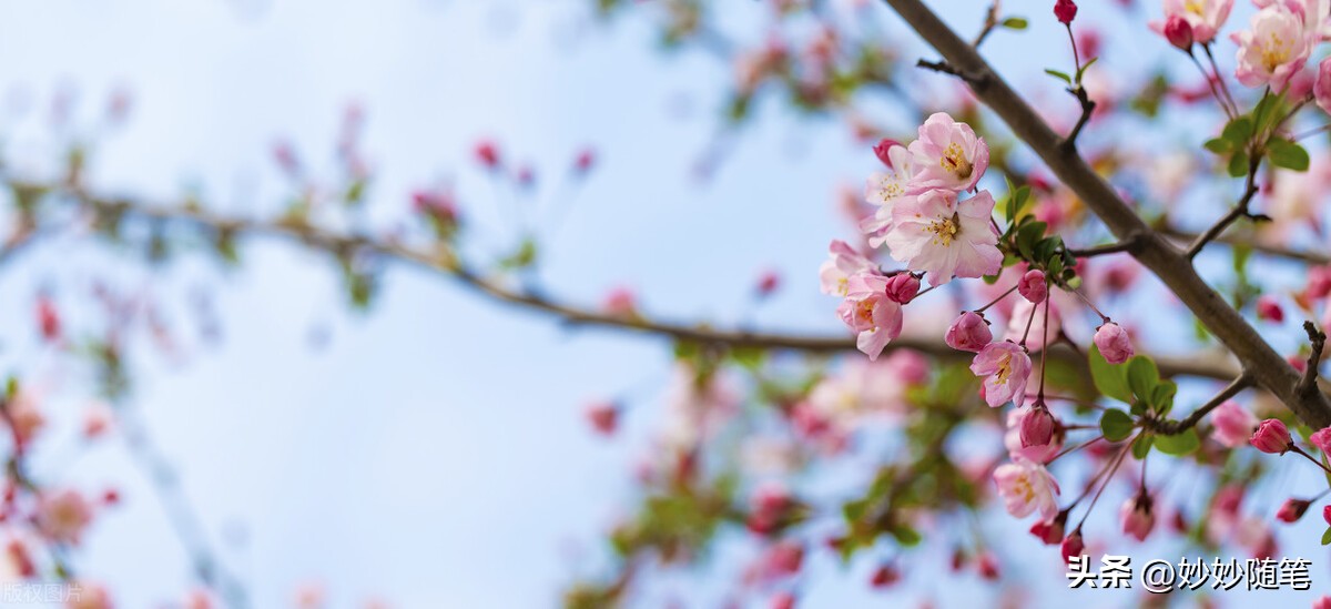 安全感责任感到底是什么,缺乏安全感到底是什么