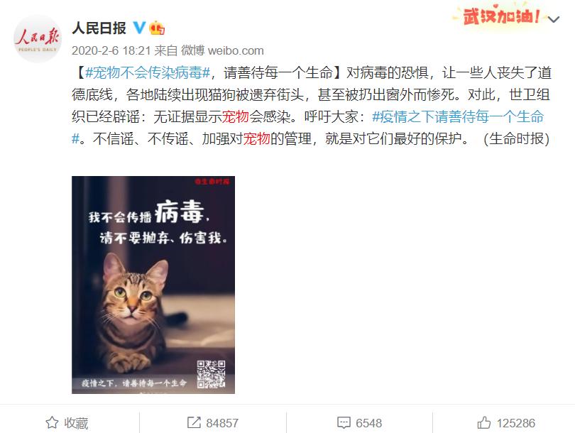 疫情宠物被无害化处理怎么办,无害化处理宠物狗