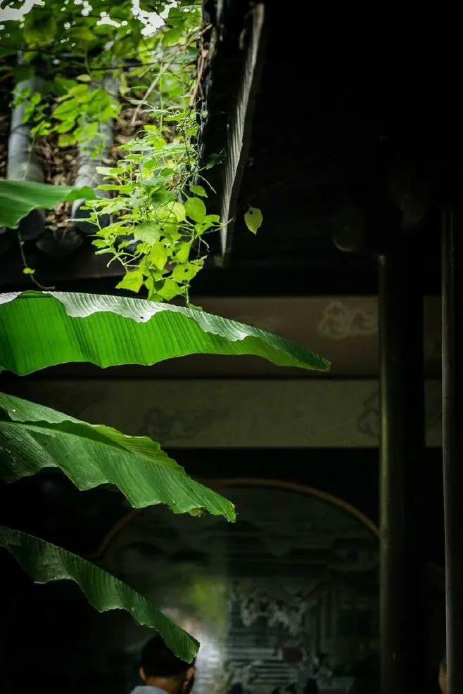 生活就是用一两分的甜冲淡8分苦,生活用一两分的甜冲淡七八分的苦