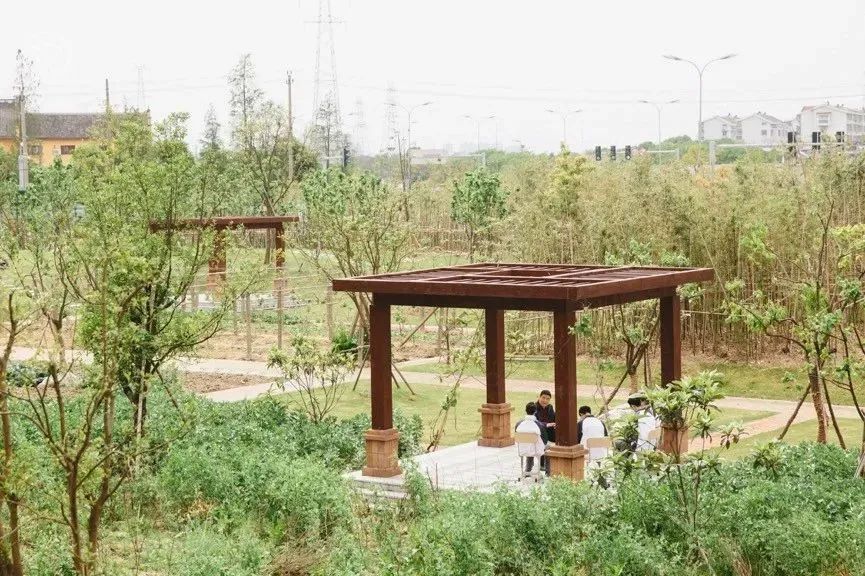 这个校园“*拍偷**狂魔”,拍下了95后的绝版青春