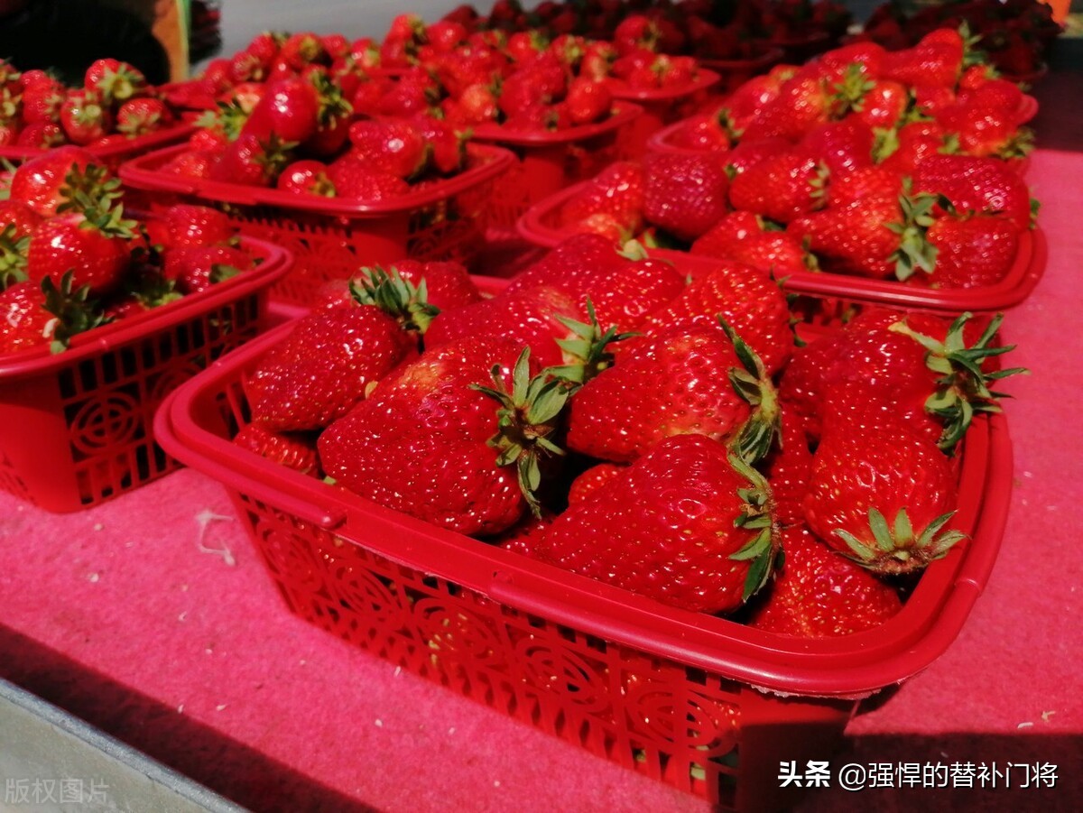 我们平常吃的草莓是什么部位,我们平常吃的草莓是花托还是果实