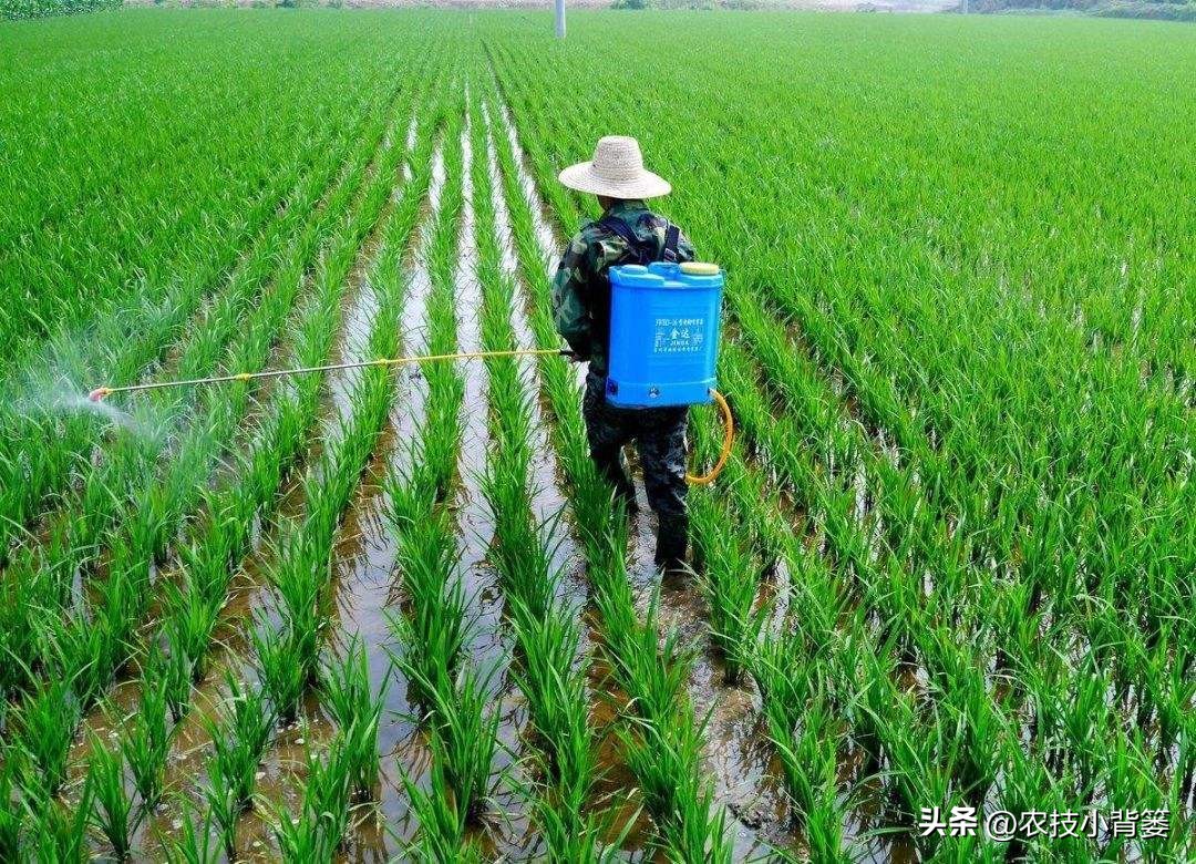 农作物除病害剂,农业害虫防治剂