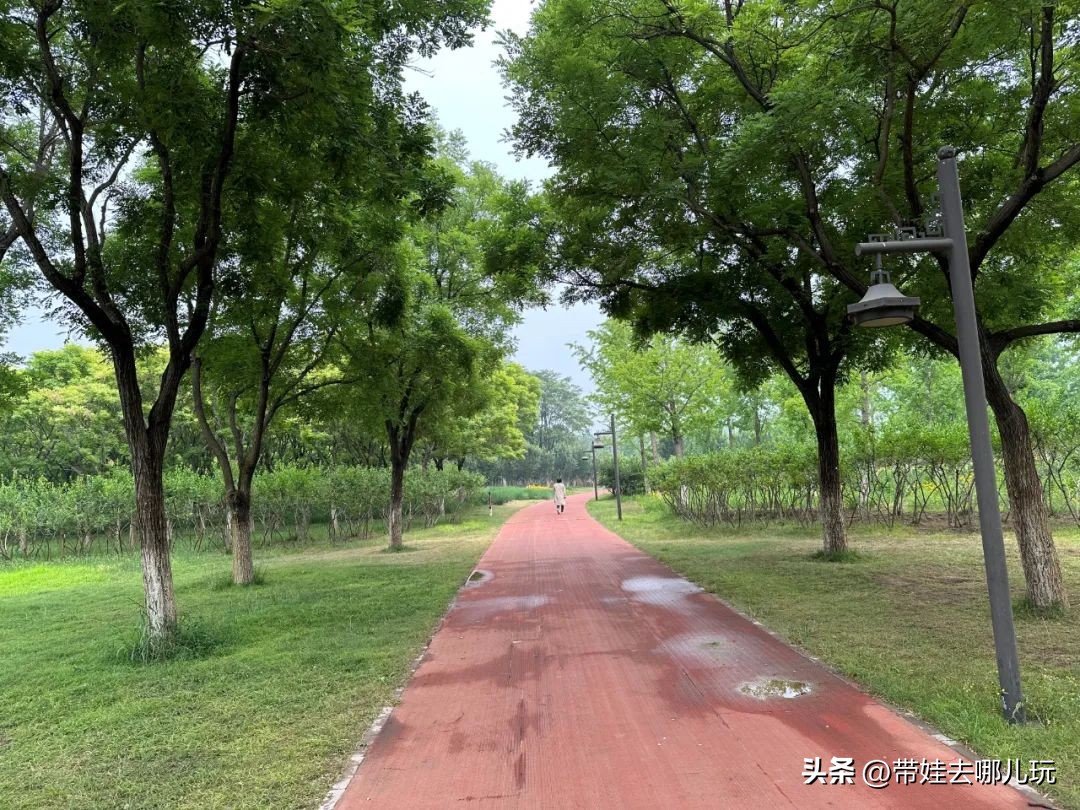 可搭帐篷公园,可以骑车搭帐篷的公园