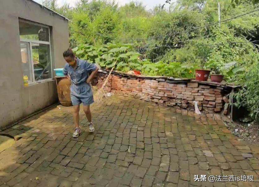 头皮发麻！哈尔滨一村子一夜之间，有毒黑虫爬满街道，咬人咋办？