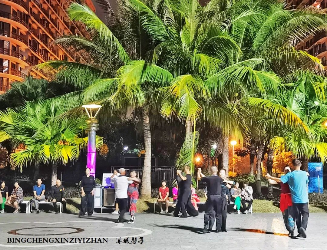 旅居海南：九所新区的浪漫情