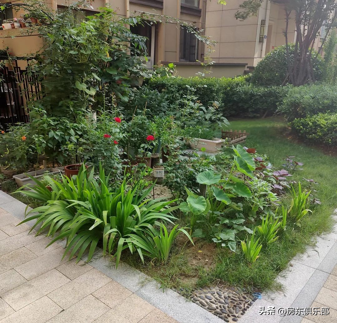 很多人不交物业费,真的很多人不交物业费