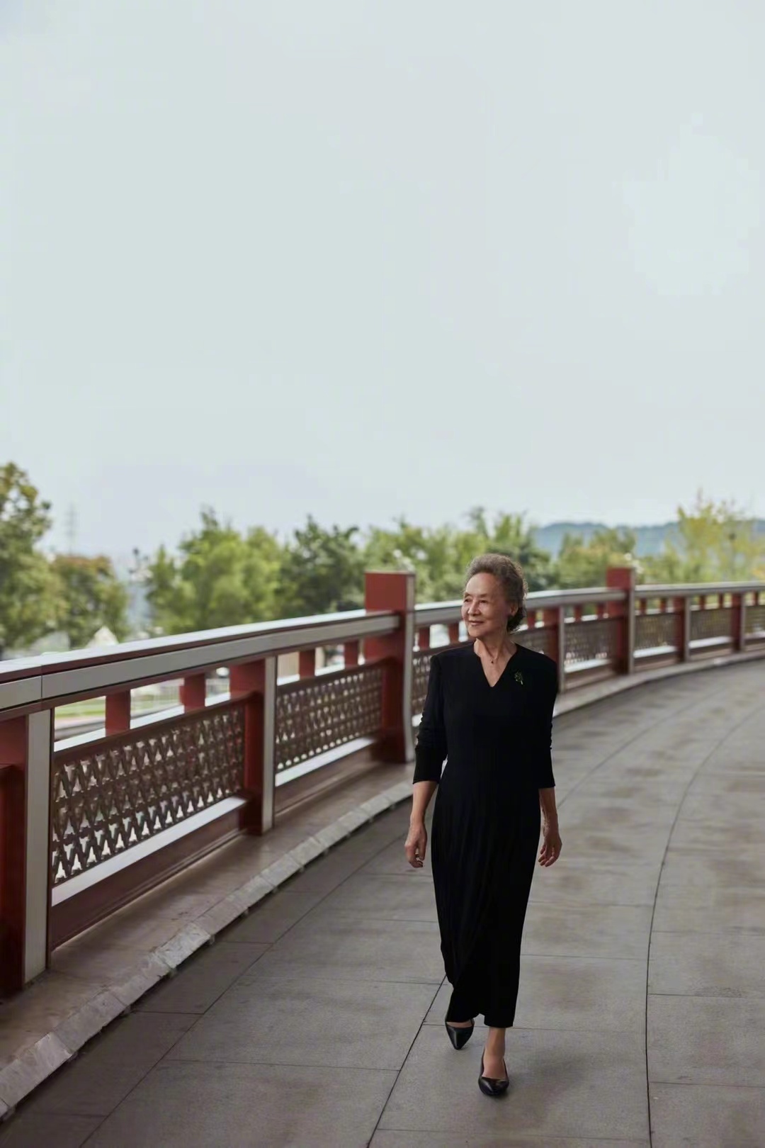 吴彦姝优雅美照,吴彦姝84岁优雅走红毯视频爆棚