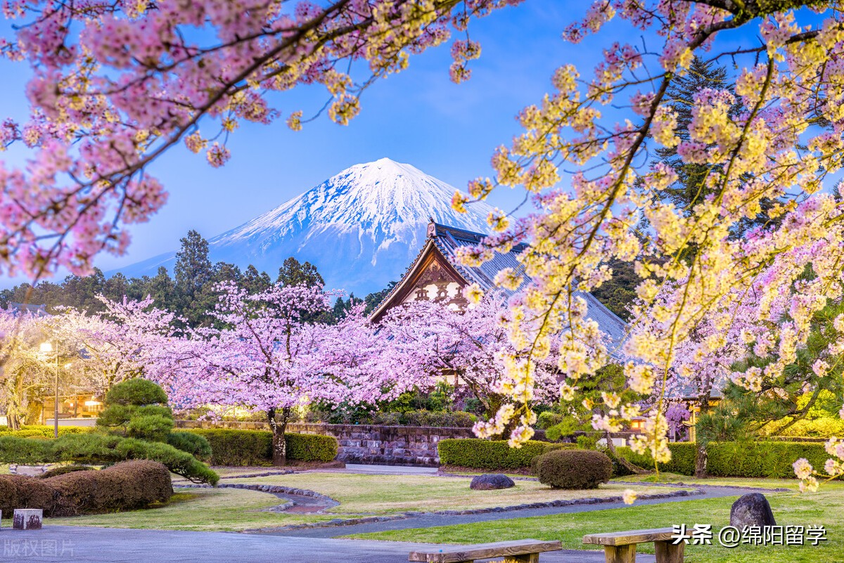 日本留学费用一览表中文名,日本留学费用一年多少人民币