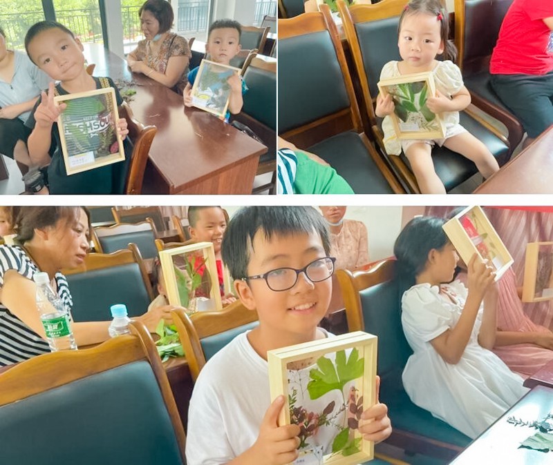 自然笔记植物标本,植物标本创意作品