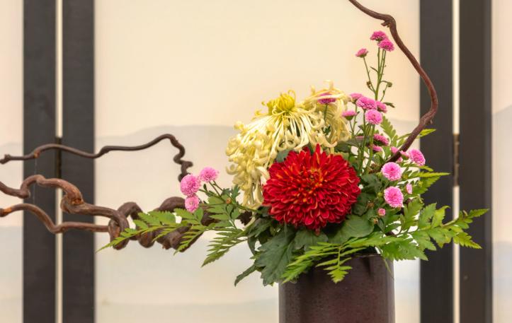 入秋了，又到了网购鲜切花的季节，那么收到快递后如何醒花呢？