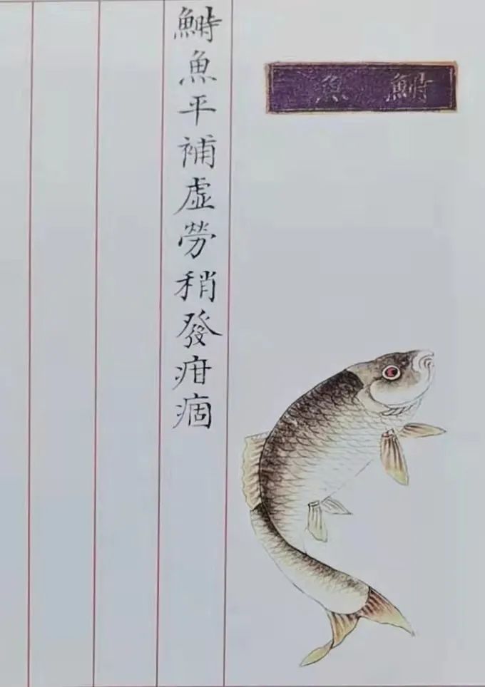 江南风物丨用一场“樱笋厨”，饯别江南的春天