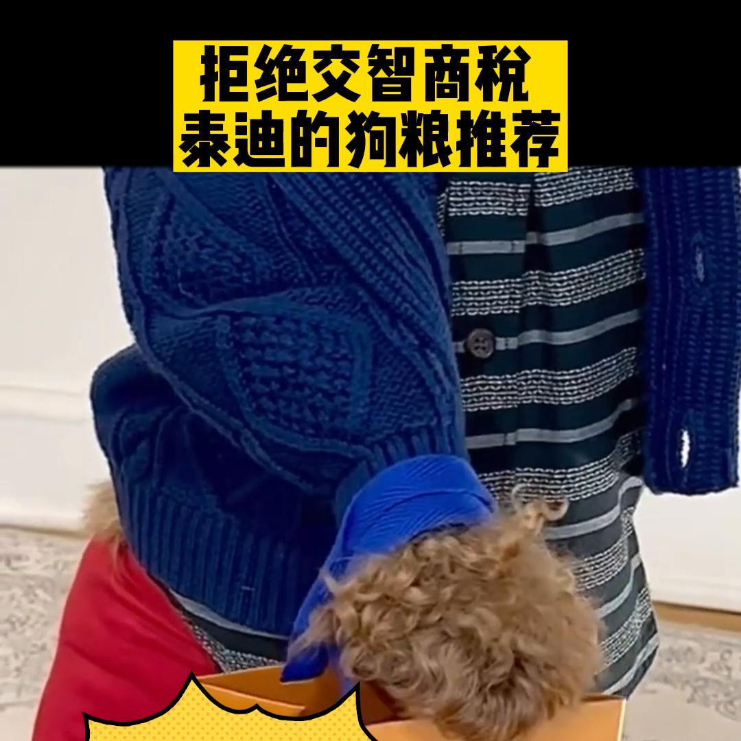 便宜又好吃的狗粮推荐泰迪,大龄泰迪狗粮推荐