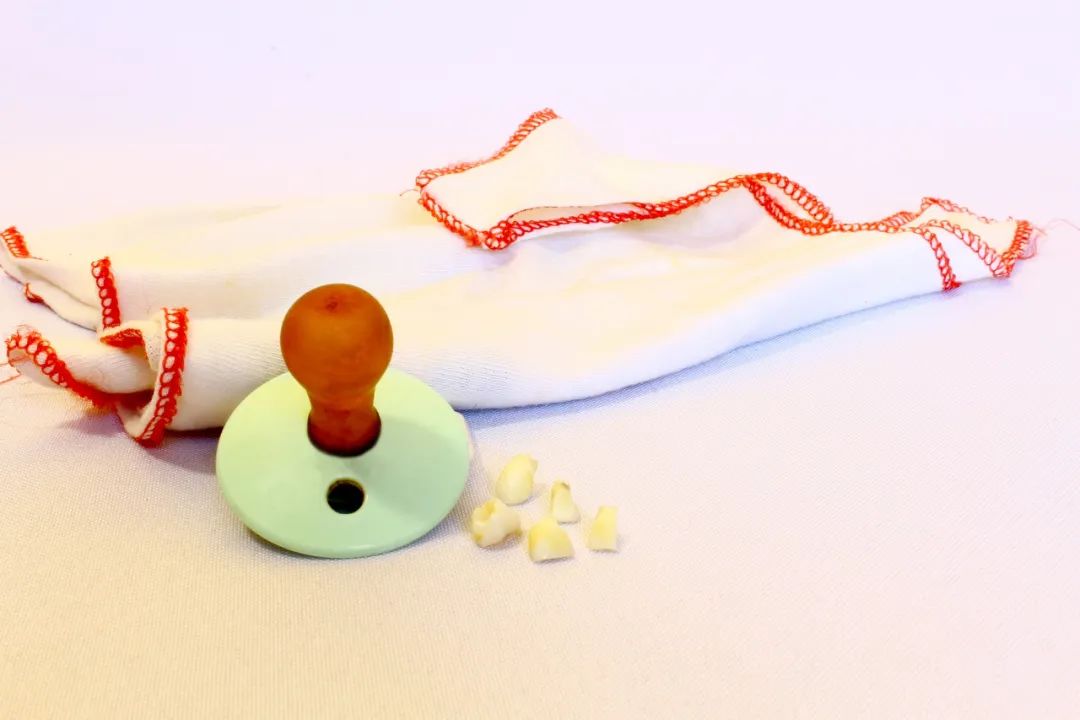 从小猪的颌骨里长出牙齿？这届科学家有点皮