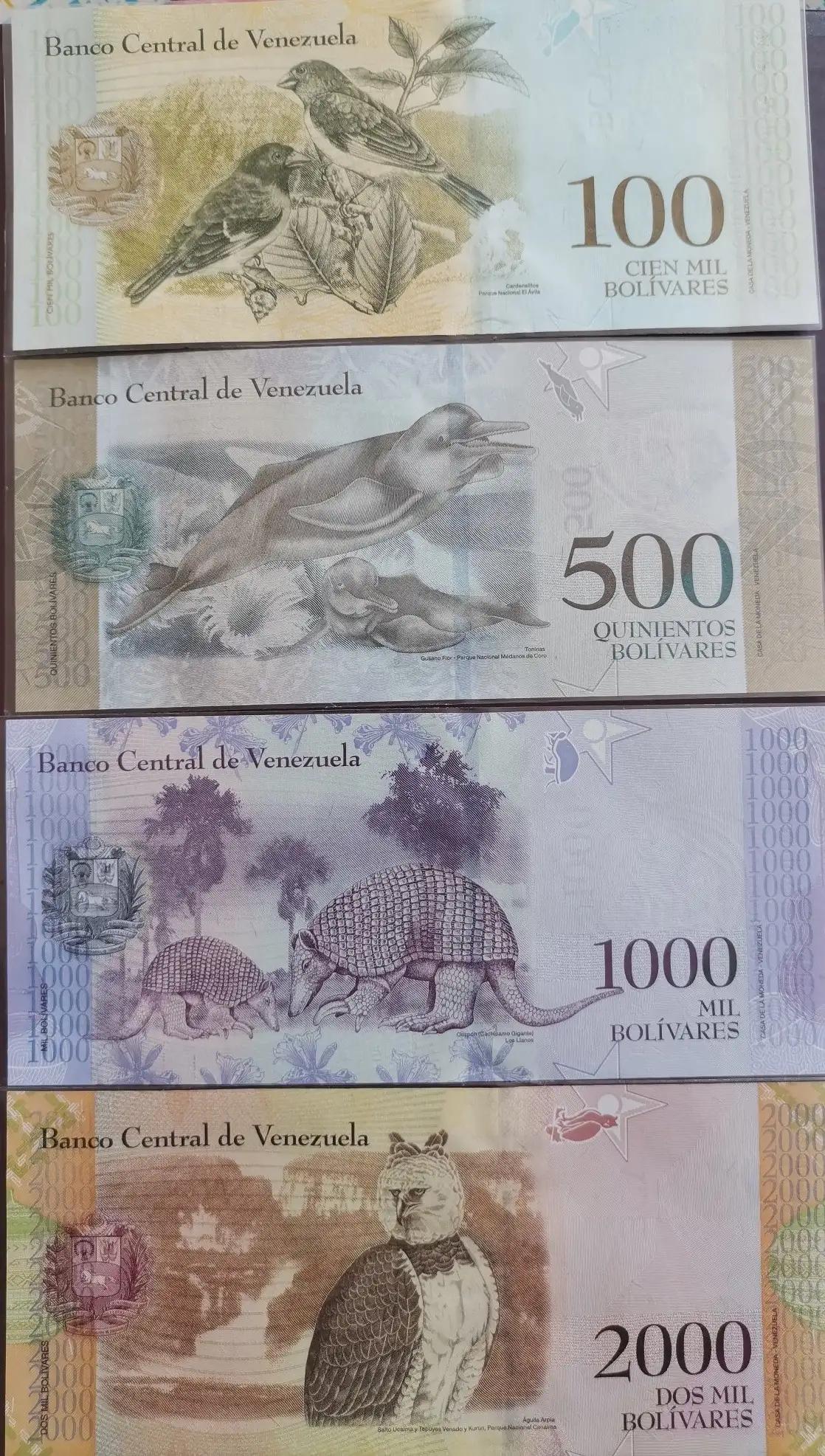 委内瑞拉纸币连号,委内瑞拉纸币演变