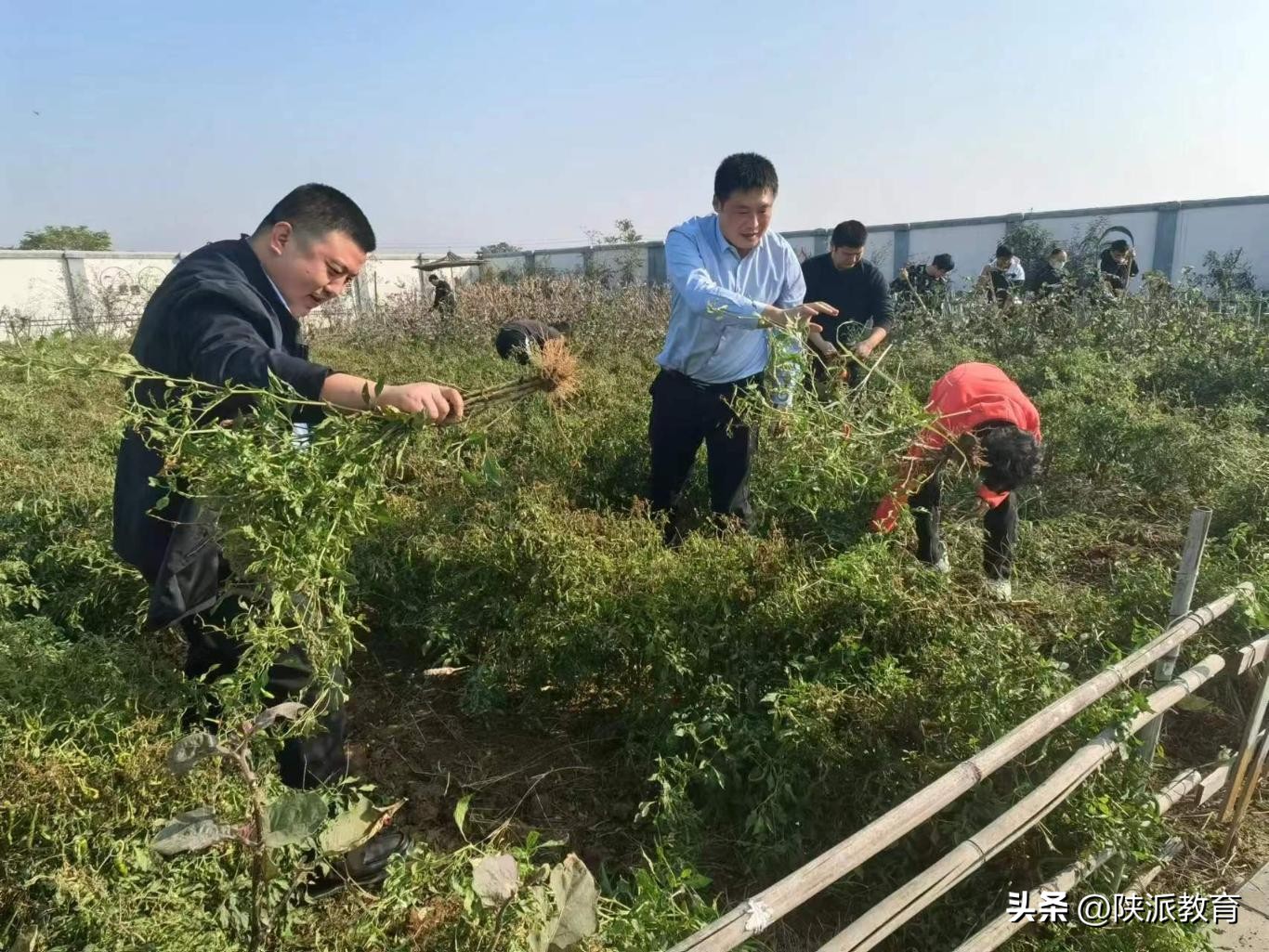 一个农村校长的“三问”与“三答”——记渭南市临渭区官底镇中心校校长孟永锋