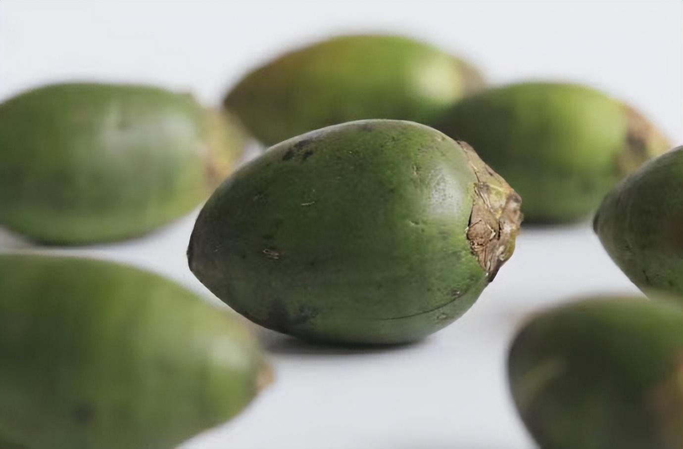 古代槟榔和现在槟榔的区别,古代人嚼槟榔为什么不致癌